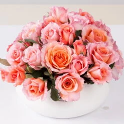 Stammrose 'Käthchen Von Heilbronn'®, Edelrose, Stammhöhe 60cm Im 7,5 Liter Topf -Gartenbedarf Geschäft 0460100700 KB Kaethchen von Heilbronn Edelrose Co 6lt1 65417