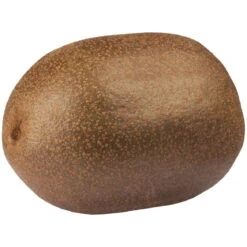 Gelbfruchtige Kiwi 'Golden Kiwi', 2er-Set, Topf 15 Cm Ø -Gartenbedarf Geschäft 0480960140 0480960142 Golden Kiwi 87664