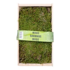 Waldmoos In Der Holzkiste, Ca. 25x13x7 Cm, 4er-Set -Gartenbedarf Geschäft 0660200150 Waldmoos M 404 Holz Kiste klein 32949