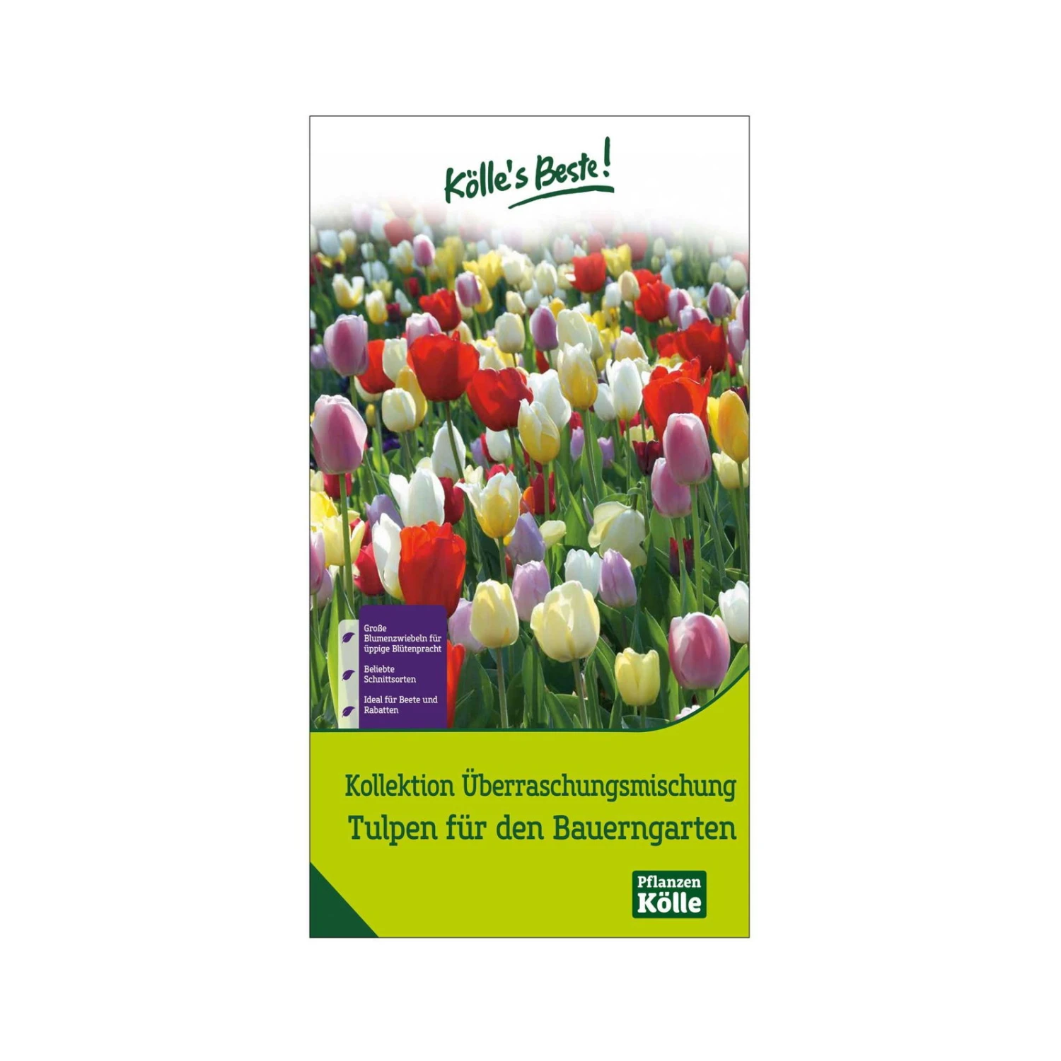 Überraschungsmischung Bauerngarten 75 Blumenzwiebeln 3 Überraschungsmischung Bauerngarten 75 Blumenzwiebeln