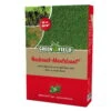 Rasensamen Für Nachsaat-Mantelsaat, 1 Kg -Gartenbedarf Geschäft 0750100127 Greenfield Nachsaat Mantelsaat Mantelsaat Vital 1kg 108115