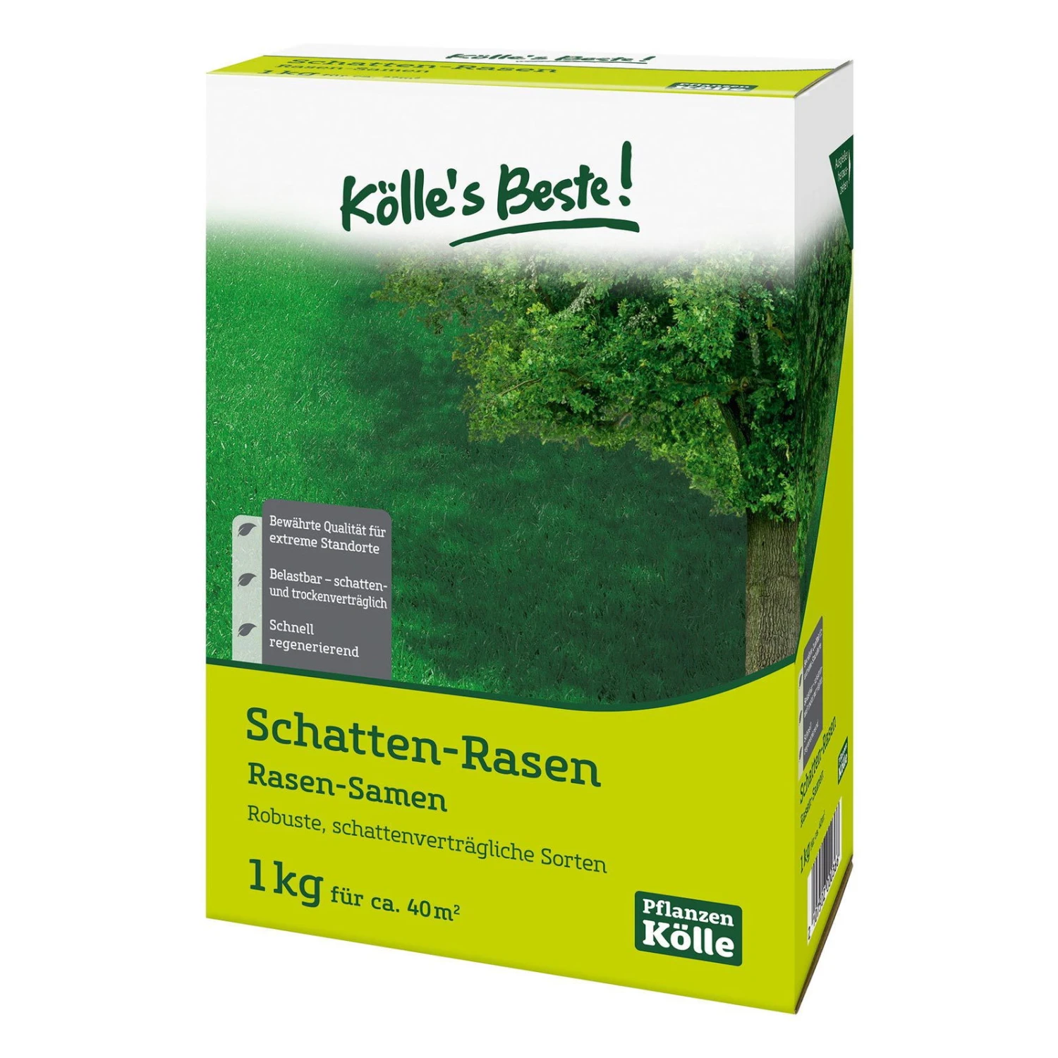 Kölle's Beste Schattenrasen Mit Lägerrispe Poa Supina, 1 Kg 3 Kölle's Beste Schattenrasen Mit Lägerrispe Poa Supina, 1 Kg