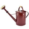 Zinkgießkanne Mit Holzgriff Und Messingbrause, Weinrot -Gartenbedarf Geschäft 0930401362 0930401364 Koelle Zinkgiesskanne mit Holzgriff Messingbrause weinrot 84492