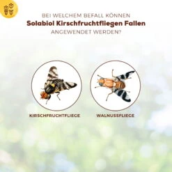 Solabiol Kirschfruchtfliegenfalle, 5er-Pack -Gartenbedarf Geschäft 0950200760 Solabiol Kirschfruchtfliegenfalle 5Stueck 1 107242