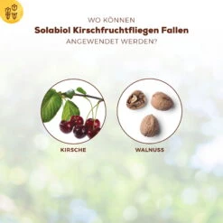 Solabiol Kirschfruchtfliegenfalle, 5er-Pack -Gartenbedarf Geschäft 0950200760 Solabiol Kirschfruchtfliegenfalle 5Stueck 3 107240