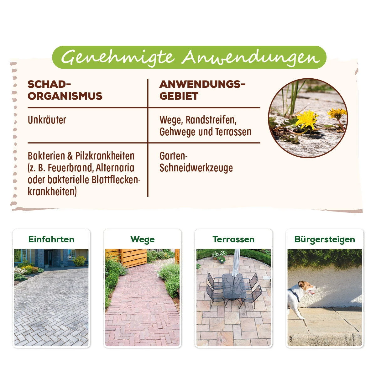 Grundstoff Acetum, Solabiol®, 3 Liter 4 Grundstoff Acetum, Solabiol®, 3 Liter – Bild 2