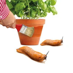 Schnexagon, Anstrich Gegen Schnecken, 375 Ml 7 Schnexagon, Anstrich Gegen Schnecken, 375 Ml -Gartenbedarf Geschäft 0950300991 Schnexagon 375ml 1 94152