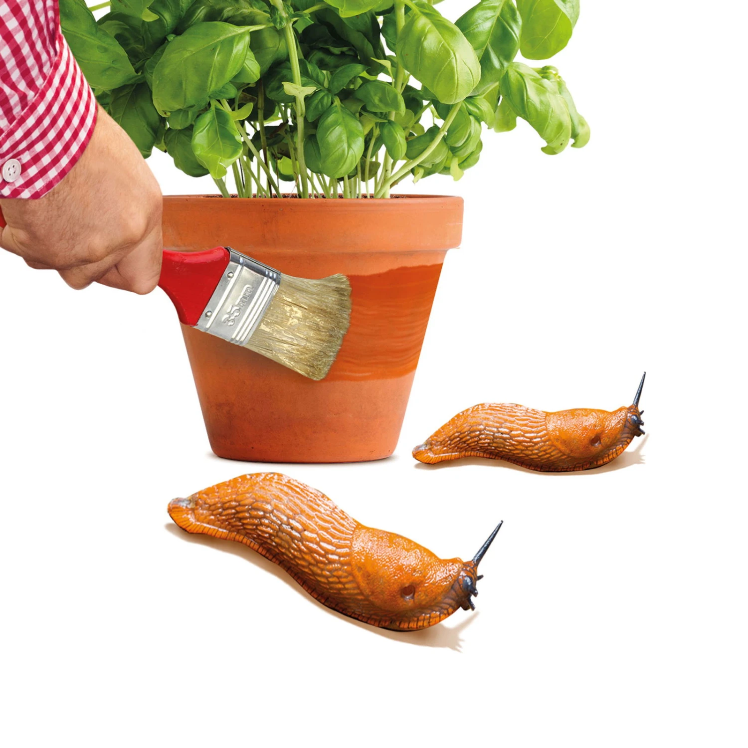 Schnexagon, Anstrich Gegen Schnecken, 375 Ml 5 Schnexagon, Anstrich Gegen Schnecken, 375 Ml – Bild 3