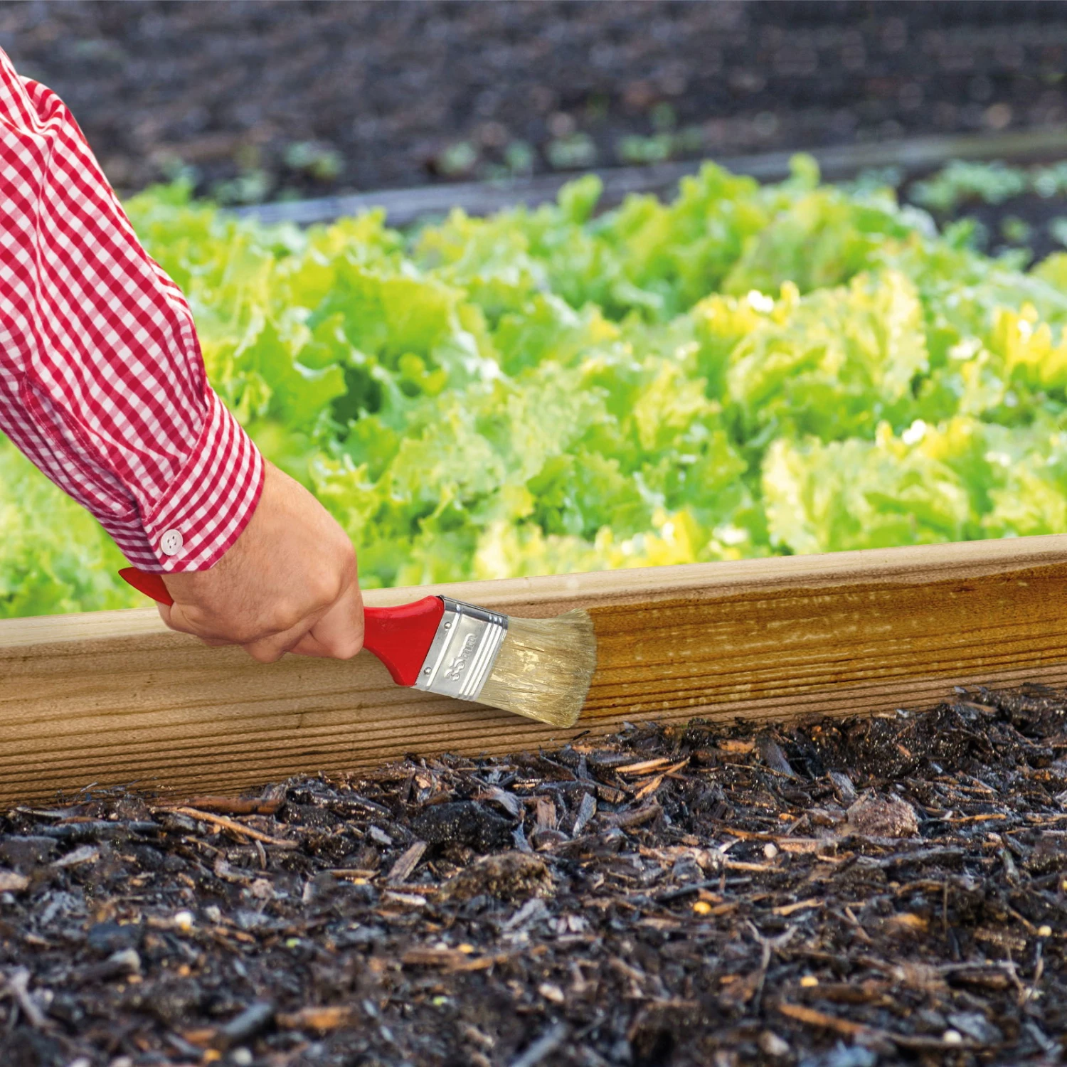 Schnexagon, Anstrich Gegen Schnecken, 375 Ml 4 Schnexagon, Anstrich Gegen Schnecken, 375 Ml – Bild 2