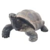 Gartendeko 'Schildkröte', Grau, H34 X L50 X B60 Cm 1 Gartendeko 'Schildkröte', Grau, H34 X L50 X B60 Cm -Gartenbedarf Geschäft 0980306438 Schildkroete grau gross 123573