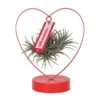 Tillandsia In Herzförmigem Metallgestell, Rot, Höhe Ca. 23 Cm 1 Tillandsia In Herzförmigem Metallgestell, Rot, Höhe Ca. 23 Cm -Gartenbedarf Geschäft 1530150122 Tillandise in Herzstaender rot 118144