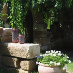 Kölle LED-Solarlaterne Adana, Gold Matt, Höhe 26 Cm, Ø 16 Cm -Gartenbedarf Geschäft 2950100472 2950100469 Adana 1 113714