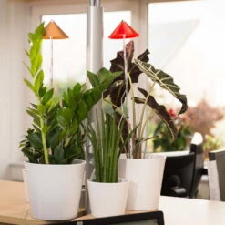 Sunlite Pflanzenlampe Kupfer, 7 Watt -Gartenbedarf Geschäft 2950200231 Sunlite Pflanzenlampe Kupfer 7W 1 60399