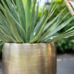 Pflanzgefäß 'Rowen', Gold, Ø 42 X H 41 Cm 12 Pflanzgefäß 'Rowen', Gold, Ø 42 X H 41 Cm -Gartenbedarf Geschäft 3210801622 Pflanzgefaess Rowen gold D 42 x H 41 cm 2 114989