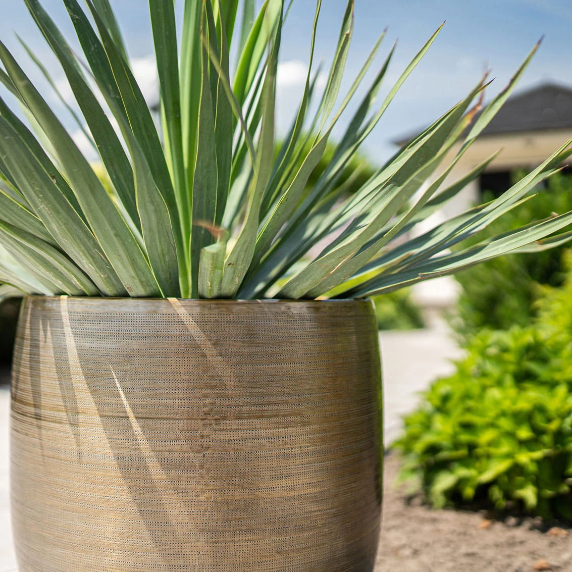 Pflanzgefäß 'Rowen', Gold, Ø 42 X H 41 Cm 5 Pflanzgefäß 'Rowen', Gold, Ø 42 X H 41 Cm – Bild 3