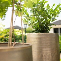 Pflanzgefäß 'Rowen', Gold, Ø 41 X H 72 Cm 16 Pflanzgefäß 'Rowen', Gold, Ø 41 X H 72 Cm -Gartenbedarf Geschäft 3210801630 3210801631 3210801632 3210801633 Pflanzgefaess Rowen gold 2 115015