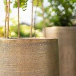 Pflanzgefäß 'Rowen', Gold, Ø 41 X H 72 Cm 15 Pflanzgefäß 'Rowen', Gold, Ø 41 X H 72 Cm -Gartenbedarf Geschäft 3210801630 3210801631 3210801632 3210801633 Pflanzgefaess Rowen gold 3 115016