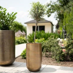 Pflanzgefäß 'Rowen', Gold, Ø 41 X H 72 Cm 14 Pflanzgefäß 'Rowen', Gold, Ø 41 X H 72 Cm -Gartenbedarf Geschäft 3210801630 3210801631 3210801632 3210801633 Pflanzgefaess Rowen gold 4 115017