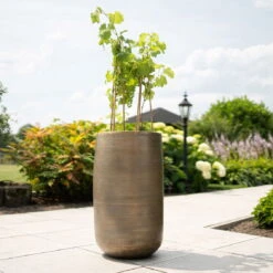 Pflanzgefäß 'Rowen', Gold, Ø 41 X H 72 Cm 13 Pflanzgefäß 'Rowen', Gold, Ø 41 X H 72 Cm -Gartenbedarf Geschäft 3210801630 3210801631 3210801632 3210801633 Pflanzgefaess Rowen gold 5 115018