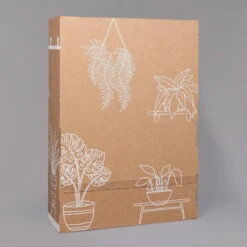 Philodendron 'Brasil' In Keramiktopf Dallas Anthrazit, Topf-Ø 12cm, 2er-Set -Gartenbedarf Geschäft B2 02 Karton Sets mit Keramik 1 126161 1