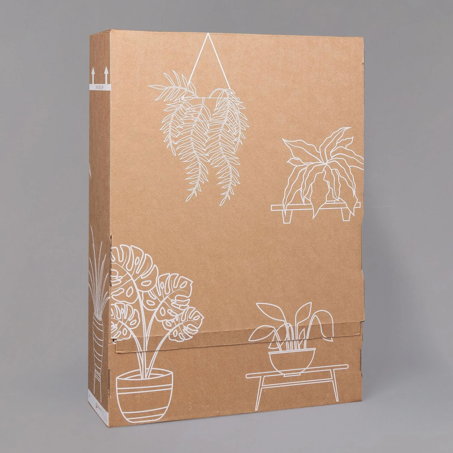 Zickzackstrauch, Inkl. Übertopf Dallas Weiß, Topf-Ø 13 Cm, Höhe Ca. 25 Cm 8 Zickzackstrauch, Inkl. Übertopf Dallas Weiß, Topf-Ø 13 Cm, Höhe Ca. 25 Cm – Bild 6