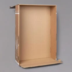 Philodendron 'Brasil' In Keramiktopf Dallas Anthrazit, Topf-Ø 12cm, 2er-Set -Gartenbedarf Geschäft B2 02 Karton Sets mit Keramik 3 126159 1