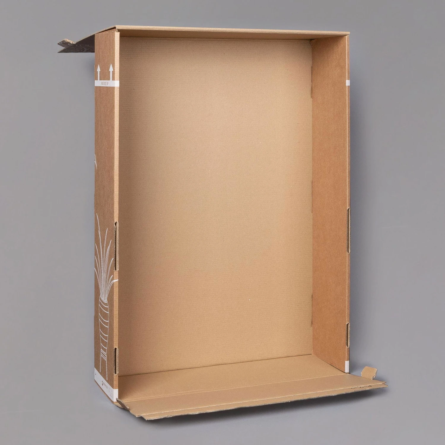 Zickzackstrauch, Inkl. Übertopf Dallas Weiß, Topf-Ø 13 Cm, Höhe Ca. 25 Cm 6 Zickzackstrauch, Inkl. Übertopf Dallas Weiß, Topf-Ø 13 Cm, Höhe Ca. 25 Cm – Bild 4